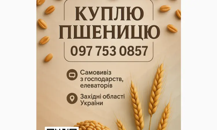 Купую пшеницю фураж - фото № 1