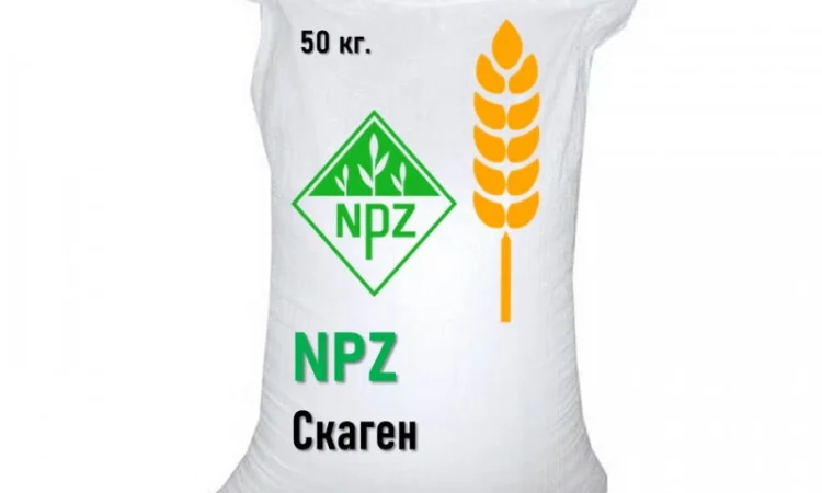 Насіння пшениці Saaten Union Скаген для продажу - фото № 2