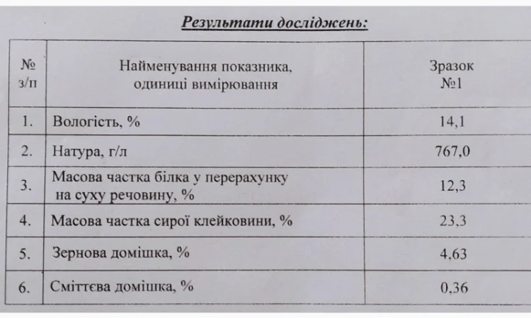 Пшеница 50 тонн на продажу - фото № 2