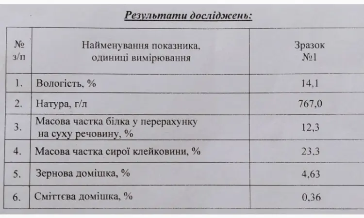 Продается пшеница оптом - фото № 2