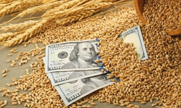 Покупаем пшеницу фураж - фото № 1