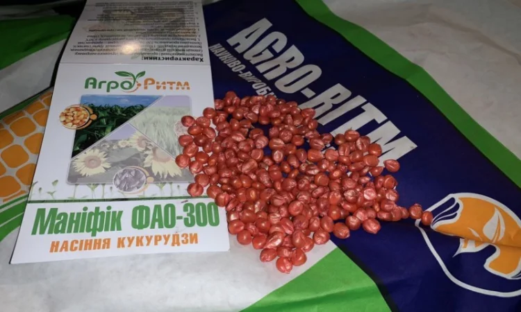Насіння кукурудзи Маніфік ФАО 300 - фото № 1