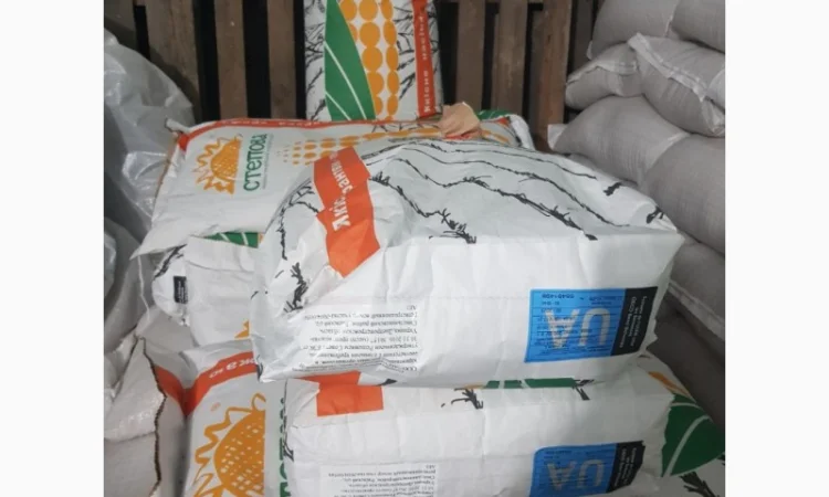 Кукуруза Дніпровський 181 СВ на продаж - фото № 2