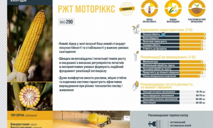Насіння кукурудзи МОТОРІККС RAGT – продаж - фото № 2