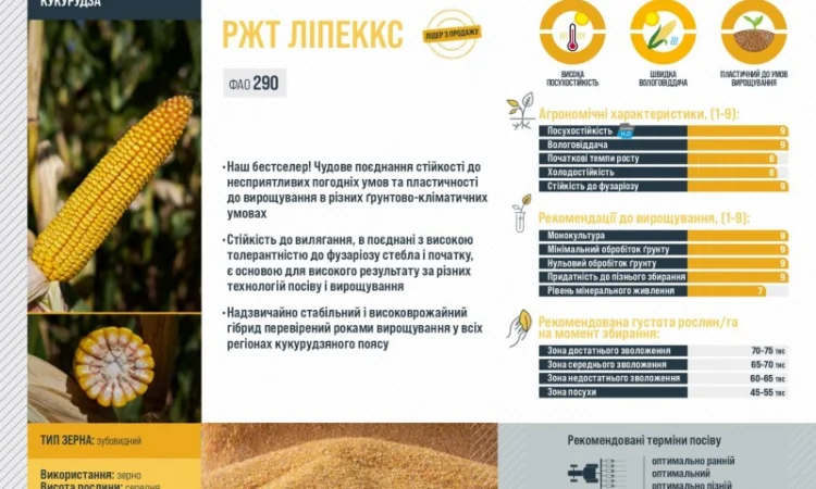 Насіння кукурудзи ЛІПЕККС RAGT у Харкові - фото № 3