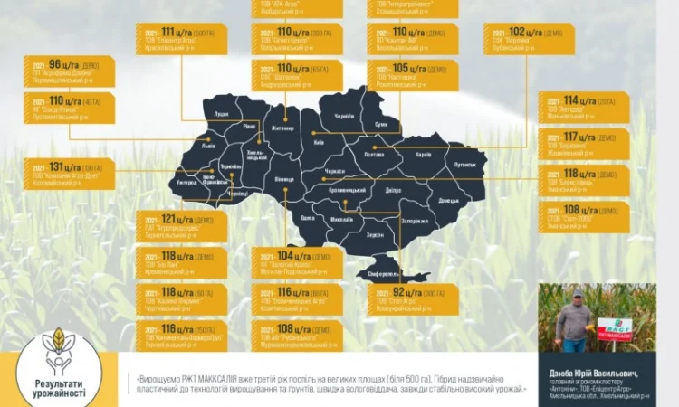 Насіння кукурудзи МАККСАЛІЯ RAGT – продаж - фото № 2