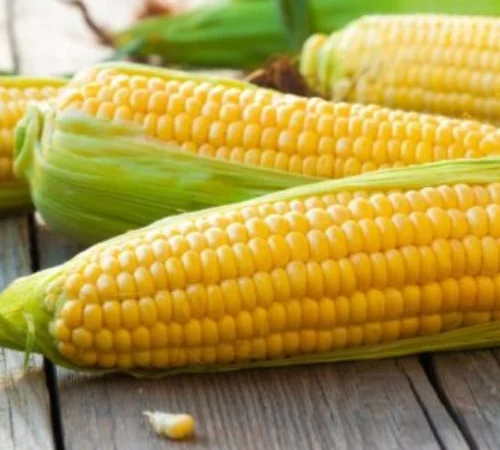 Покупка кукурудзи в Шибеному - фото № 1