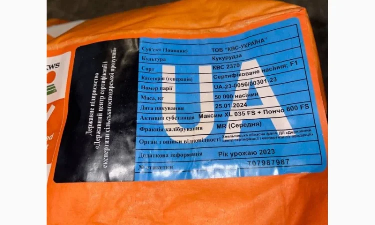 Насіння кукурудзи КВС 2370 - высокоурожайный гибрид - фото № 2