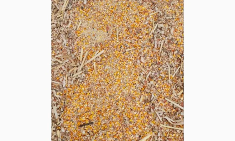 Куплю відходи кукурудзи 1,2 категорії - фото № 1