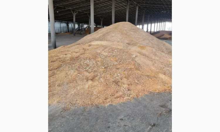 Куплю відходи кукурудзи 1,2 категорії - фото № 3