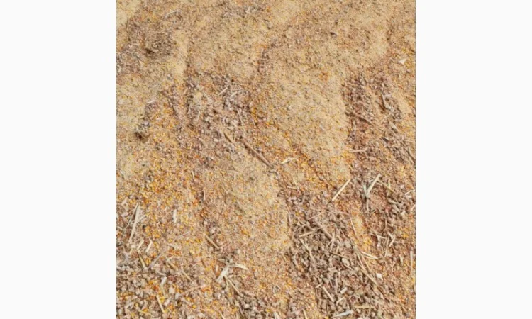 Куплю відходи кукурудзи 1,2 категорії - фото № 4