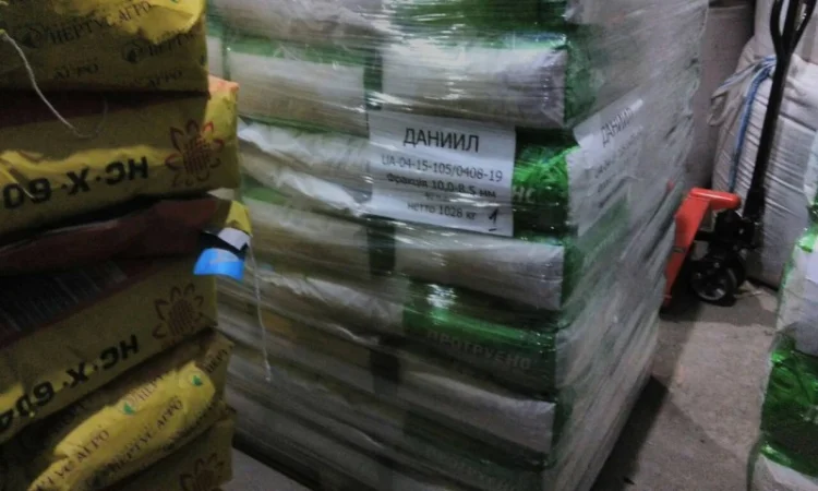 Семена кукурузи РАМ 8143 ФАО 260 з високою врожайністю - фото № 1