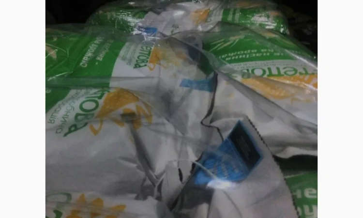 Семена кукурузы РАМ 8149 ФАО 280 для продажи - фото № 1