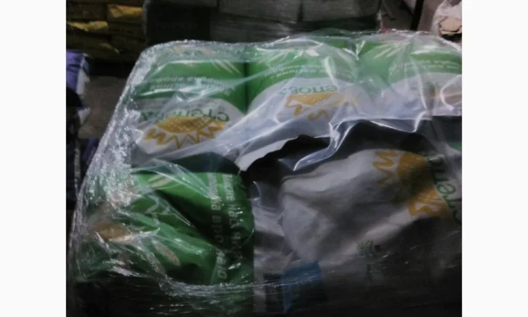 Семена кукурузи РАМ 6475 ФАО 300 для продажу - фото № 1