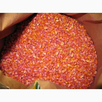 Куплю просроченный посевмат кукурузы в любых объемах - фото № 1