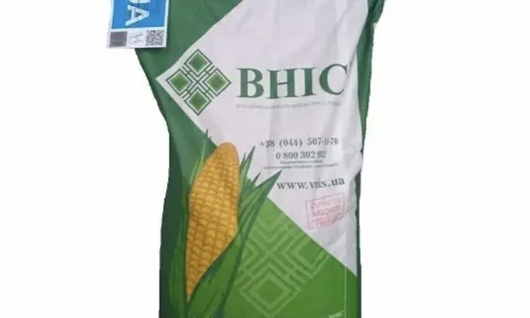 Насіння кукурудзи Тесла ФАО-350 на продаж - фото № 1