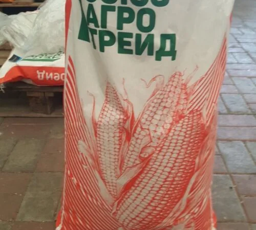 Продаж Насіння Кукурудзи ДБ Хотин ФАО-280 - фото № 1