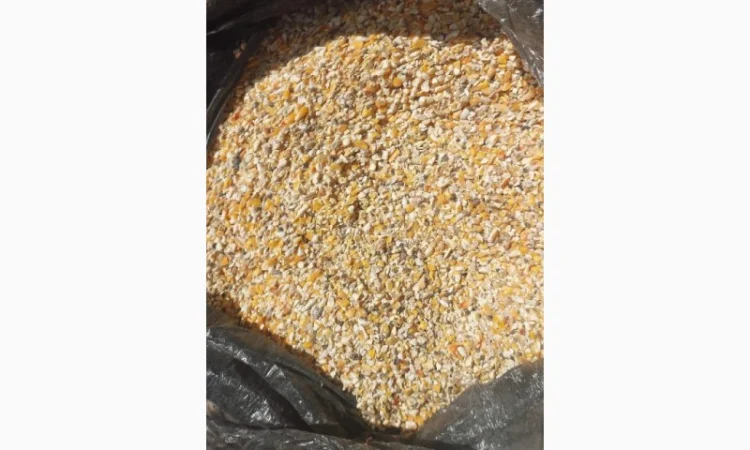 Предприятие покупает побочный продукт или зерноотходы кукурузы - фото № 1