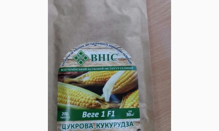 Семена суперсолодкої цукрової кукурудзи на продаж - фото № 1