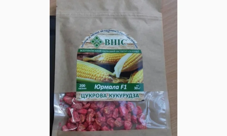 Семена суперсолодкої цукрової кукурудзи на продаж - фото № 2