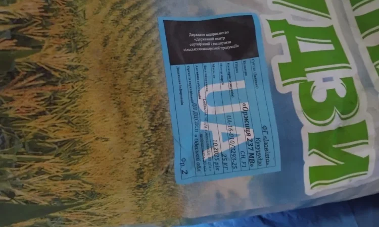 Насіння кукурузи Оржиця 2025 года - фото № 2