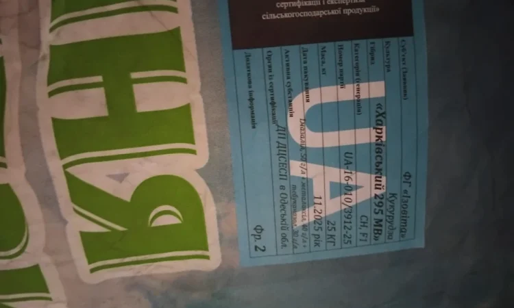 Насіння кукурузи Оржиця 2025 года - фото № 5