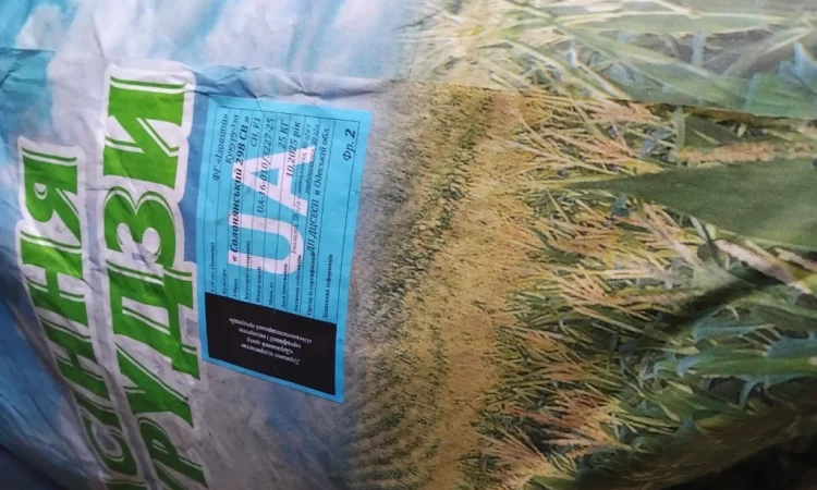 Насіння кукурузи Оржиця 2025 года - фото № 6