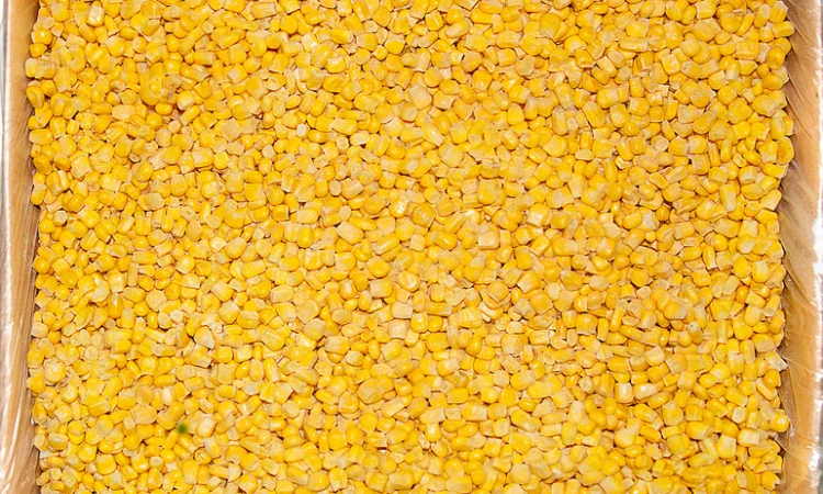 Кукурудза суперсладка заморожена в початках - фото № 1