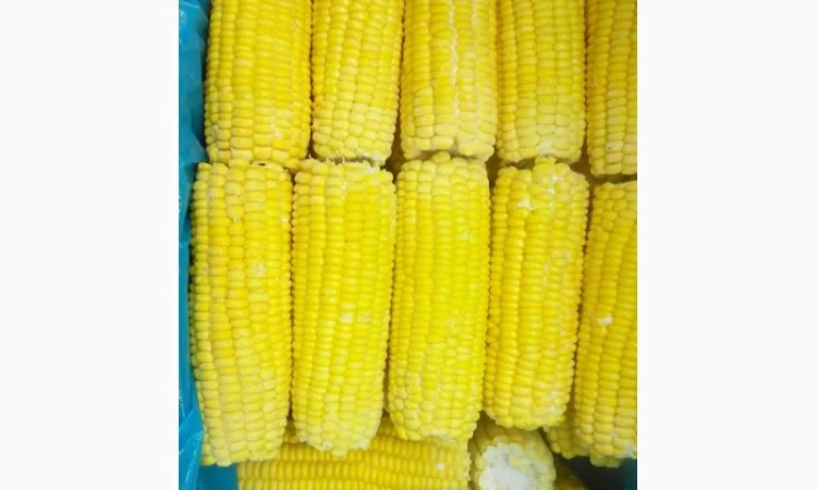 Кукурудза суперсладка заморожена в початках - фото № 2