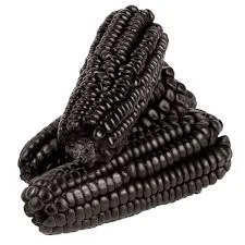 Солодка сортова кукурудза різних кольорів - фото № 2