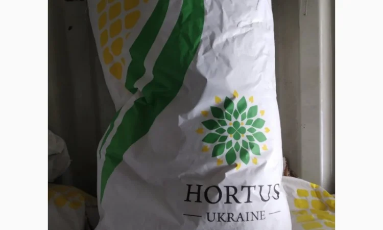 Кукурудза Монсанто на продаж - фото № 2