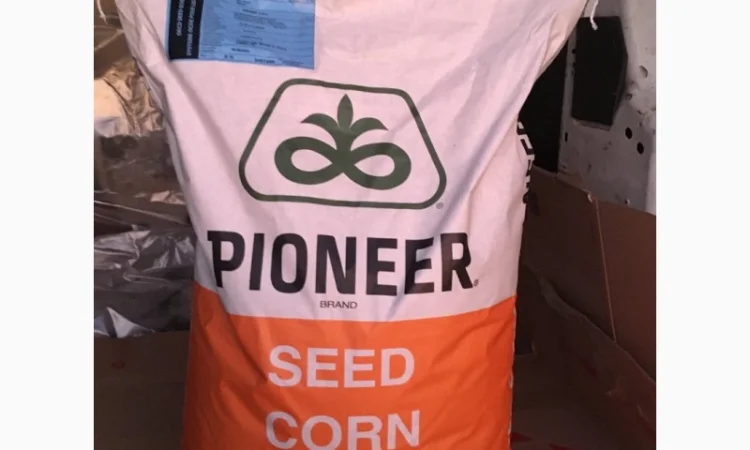 Кукурудза Монсанто на продаж - фото № 4