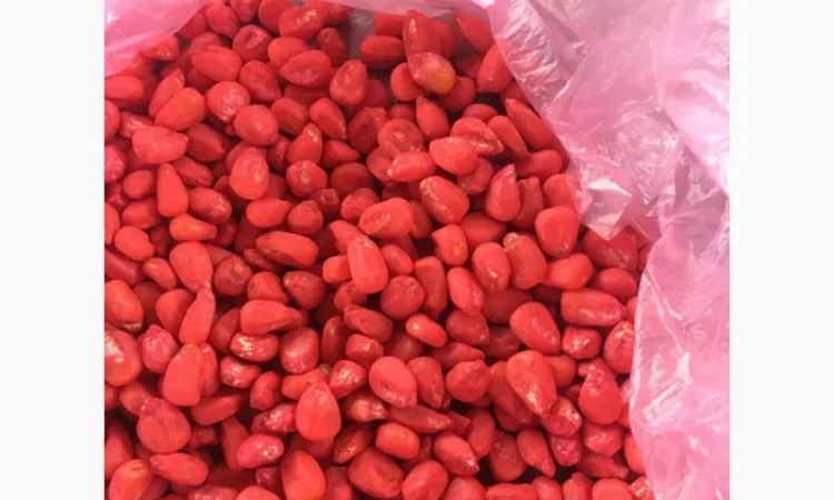 Кукурудза Монсанто на продаж - фото № 8