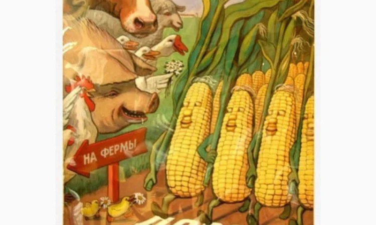 Кукурудза на FOB - фото № 1