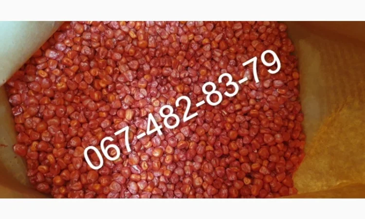 Продаю семена кукурузы ADEL ФАО 260 - фото № 1