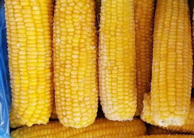 Кукурудза заморожена бланшована - фото № 1