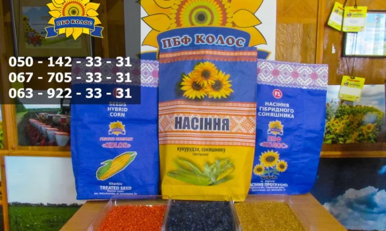 Продаю насіння кукурудзи Дніпровський 181 СВ - фото № 4