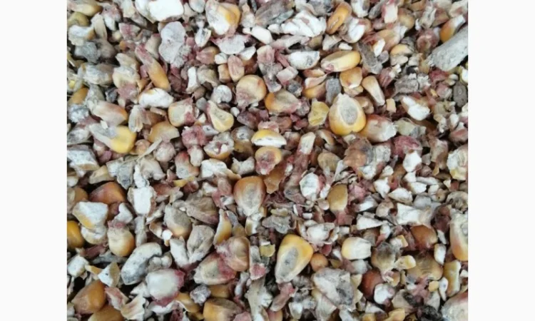 Куплю отходы кукурузы - фото № 1