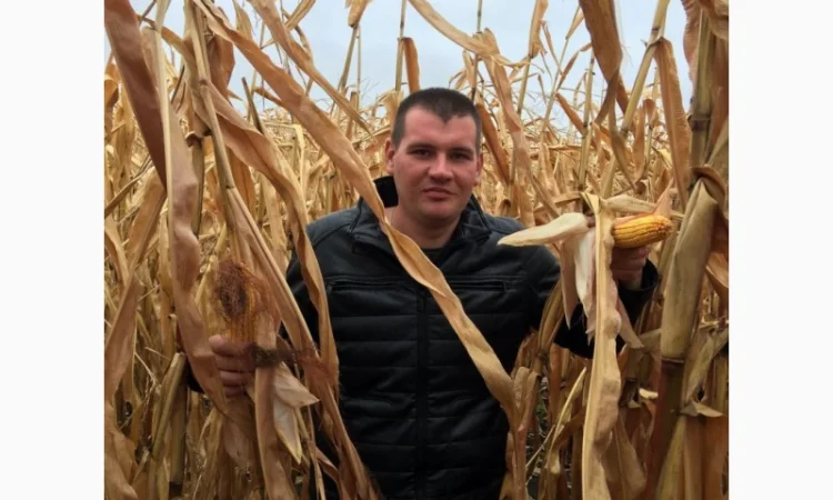 ГРАН 6 - семена гибрида кукурузы ФАО 300 - фото № 1