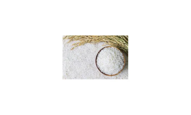 Рис Жасмин - фото № 1