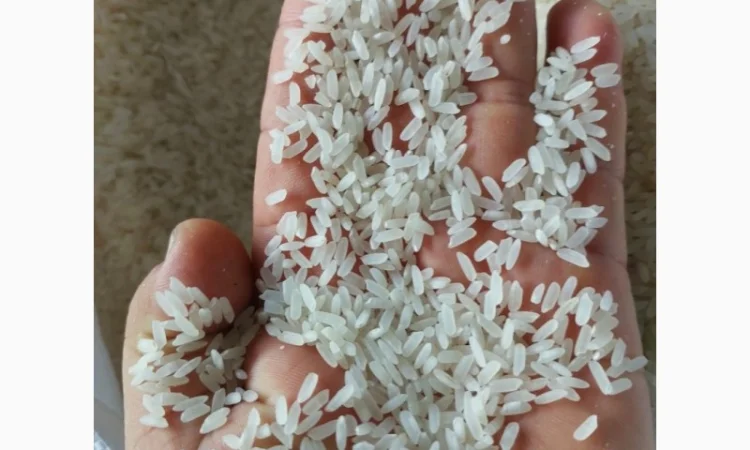 Рис для суші В'єтнам Калроуз Преміум - фото № 2