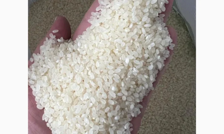 Рис круглий - фото № 1