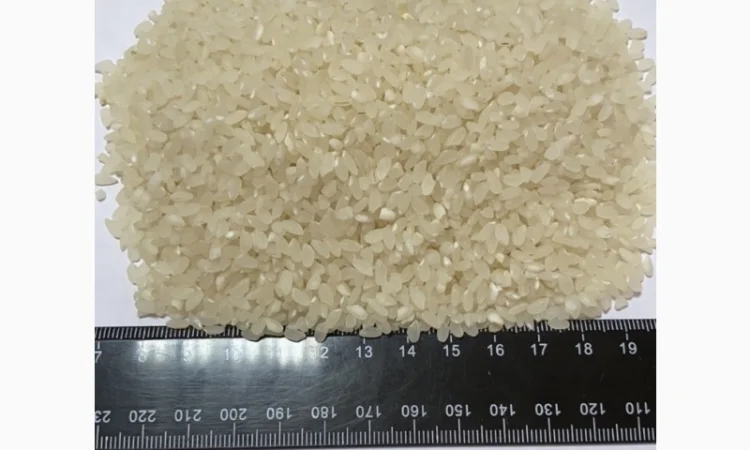 Рис для суши - фото № 1