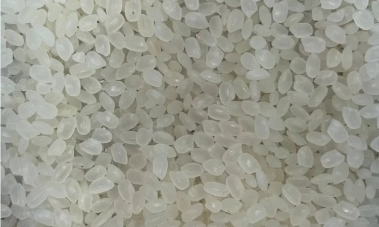 Рис круглозернистий в мішку - фото № 2