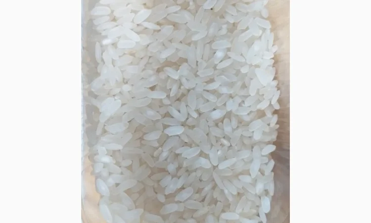 Рис "Балдо" круглий 25 кг - фото № 2