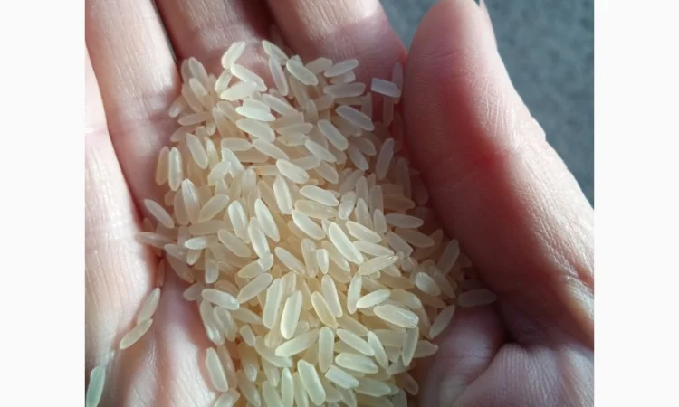 Продам рисову крупу - фото № 1