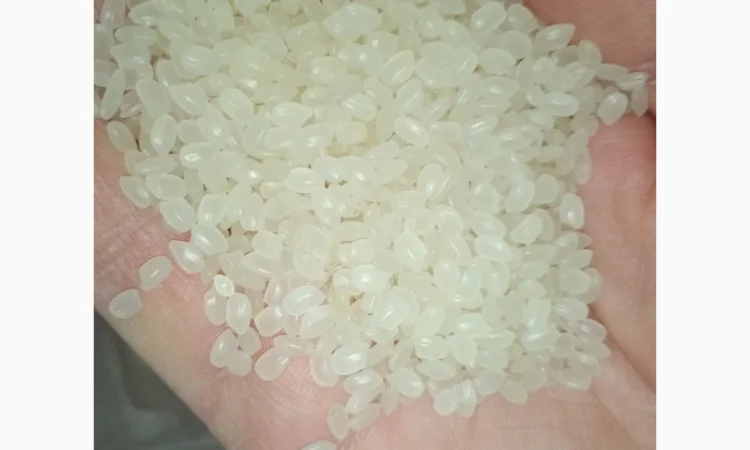 Продам рисову крупу - фото № 2