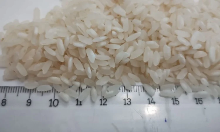 РИС продам - фото № 1