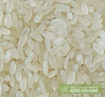 Рис Пропаренный, Долги, Круглый - фото № 1