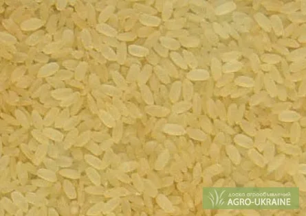 Рис Пропаренный, Долги, Круглый - фото № 2